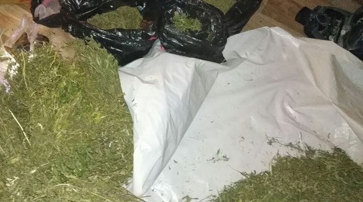 Почти 11 кг марихуаны обнаружили у автовора из Речицы