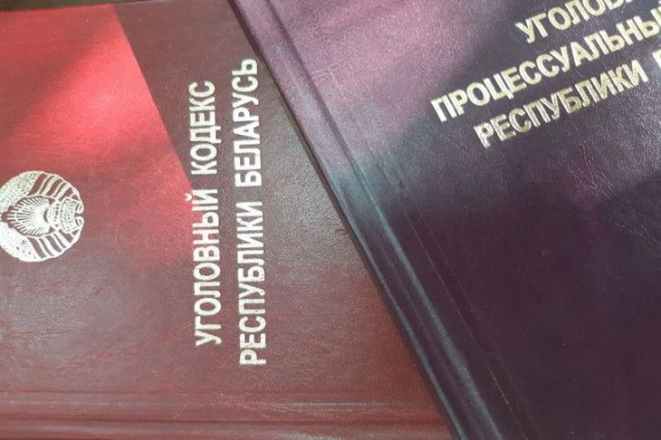 Суд в Пинске приговорил мужчину к году колонии за угрозы судебному исполнителю