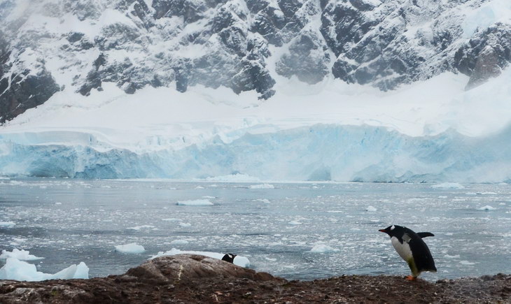 Ученые зарегистрировали сейсмическую активность в Антарктиде