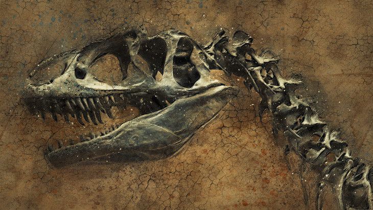 Ученые открыли новый вид млекопитающих эпохи динозавров