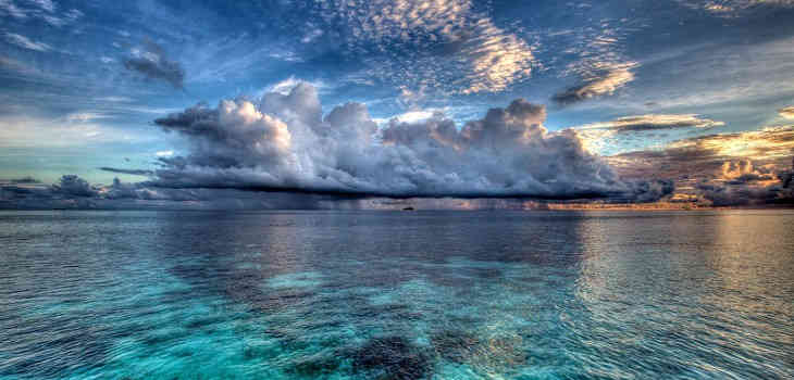 Какой сегодня праздник: 20 марта 2019 года