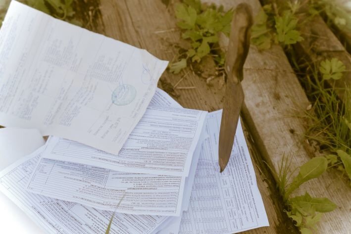 Грандиозный минус. Рухнули доходы белорусских страховщиков Грандиозный минус. Рухнули доходы белорусских страховщиков