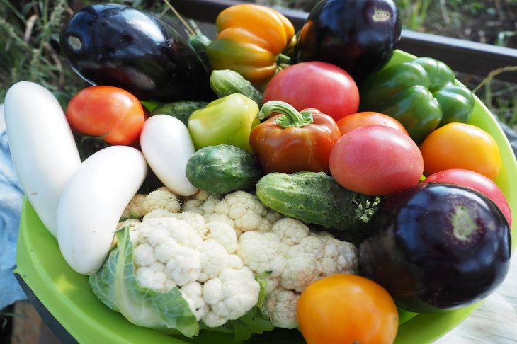 5 видов вегетарианских диет