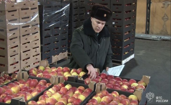В Смоленске с погоней задержали грузовики с белорусскими яблоками