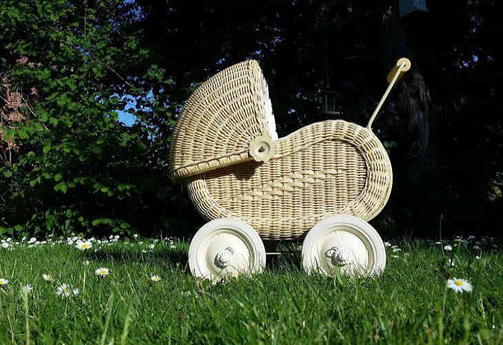 В Минске в прошлом году родились 235 двоен и 5 троен