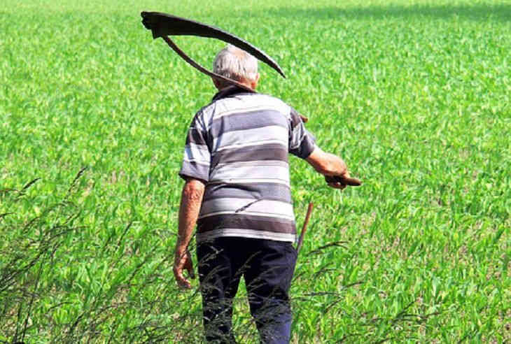 Как в фильмах ужасов. Под Молодечно человека убивали косой Как в фильмах ужасов. Под Молодечно человека убивали косой