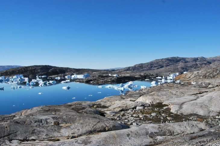 Ученые придумали новый способ выращивания овощей и фруктов в Арктике Ученые придумали новый способ выращивания овощей и фруктов в Арктике