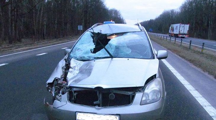 Легковушка насмерть сбила женщину на трассе М1 в Дзержинском районе