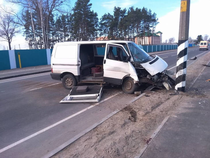 В Брагине водитель отвлекся на собаку в салоне и врезался в столб