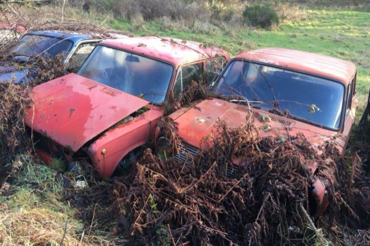 В Британии нашли кладбище советских Жигулей В Британии нашли кладбище советских Жигулей