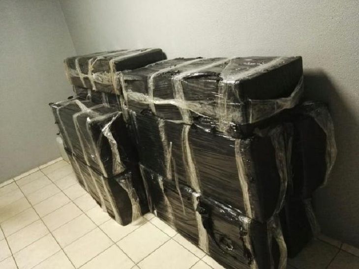 Как под Солигорском ловили контрабандистов: один прикинулся спящим прямо в поле