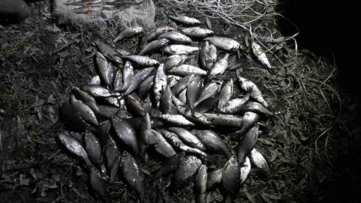 В Костюковичском районе взяли с поличным браконьера