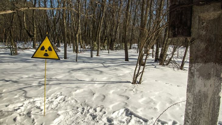 В зоне отчуждения в Чернобыле горел лес В зоне отчуждения в Чернобыле горел лес