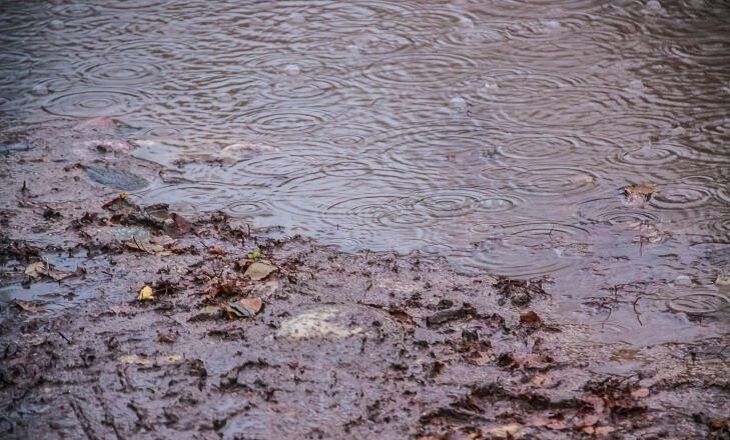 Пожилая женщина очнулась по шею в грязи после оползня в Калифорнии