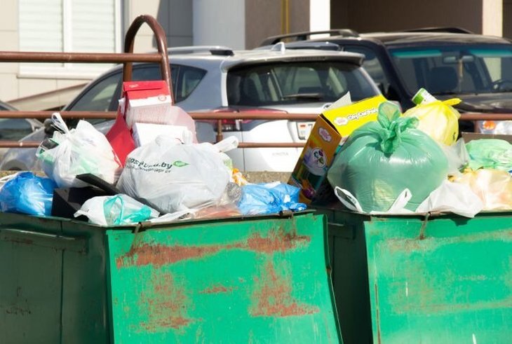 В Беларуси запустили «мусорный челлендж»
