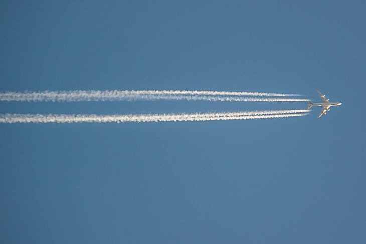 «Одежда ухудшает аэродинамику тела»: в Домодедово голый пассажир попытался проникнуть в самолет