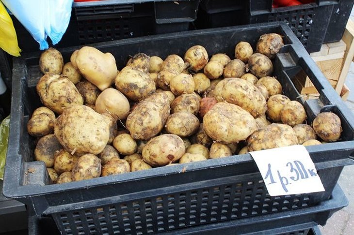 Лукашенко научил, как экономно жарить картошку
