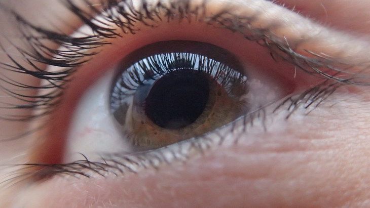 Ученые спроектировали новое средство для лечения глаукомы