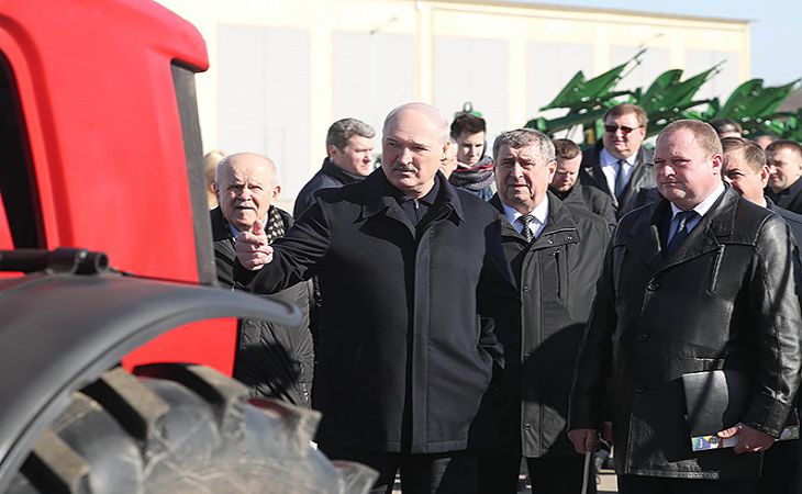 Лукашенко возмутился содержанием коров на ферме в Шкловском районе
