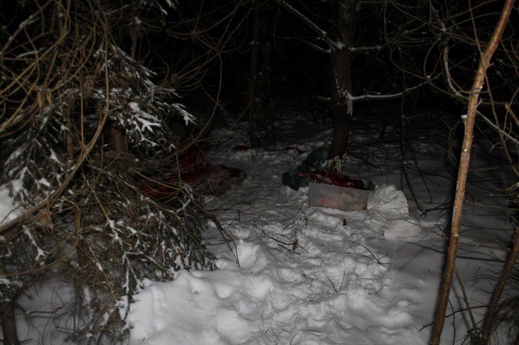 В Беловежской пуще незаконно убили и разделали кабана В Беловежской пуще незаконно убили и разделали кабана