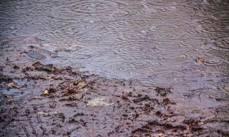 Более 700 человек погибли во время циклона Идай в Африке