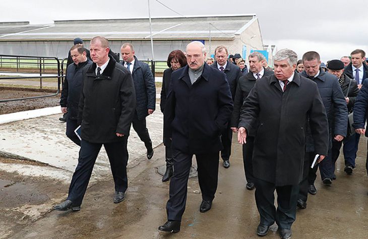 Возбуждено уголовное дело в отношении должностных лиц «Амкодор-Шклов» и «Купаловское»