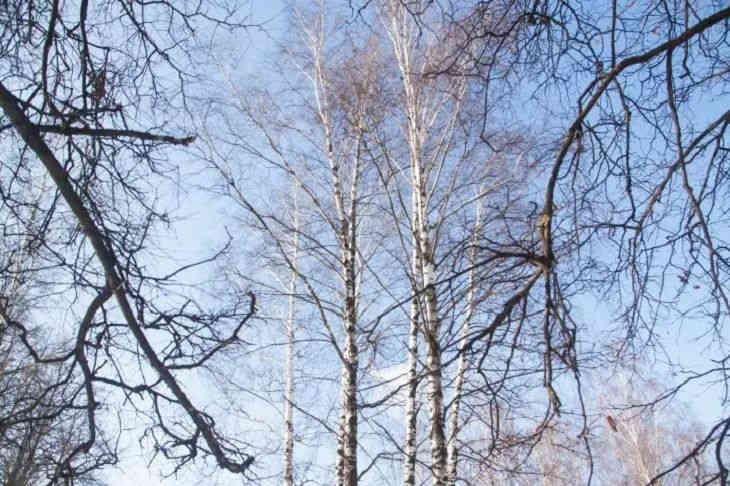 Прогноз погоды на день 28 марта 2019 года Прогноз погоды на день 28 марта 2019 года