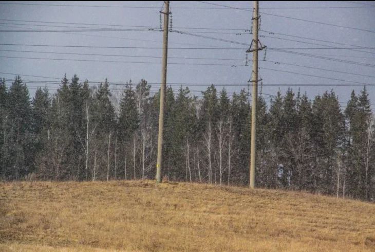 Прогноз погоды по Беларуси на 29 марта 2019 года