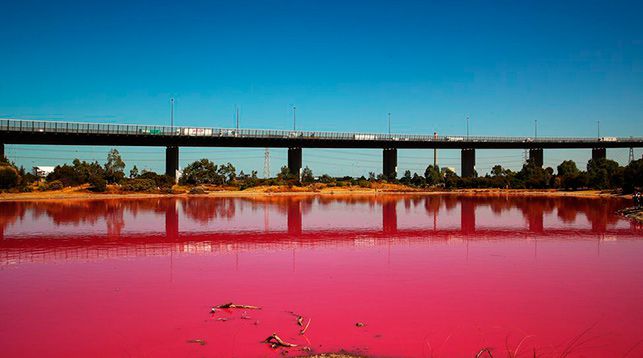 В Австралии озеро стало розовым 