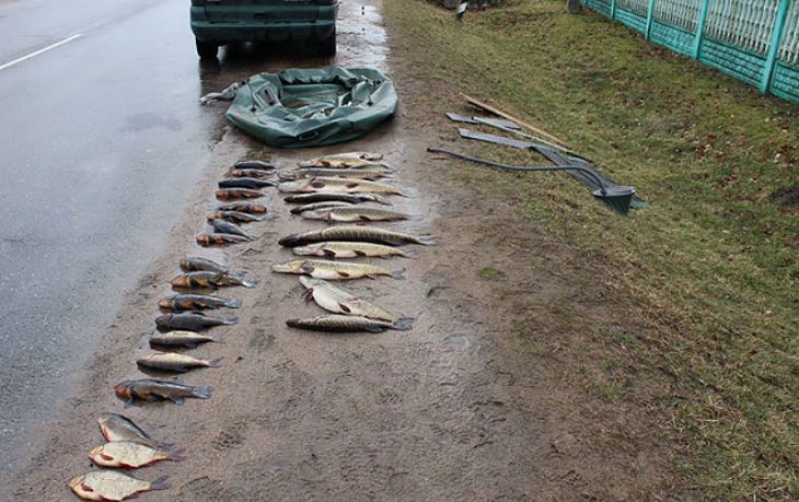 В Гродненской области задержали двух браконьеров В Гродненской области задержали двух браконьеров