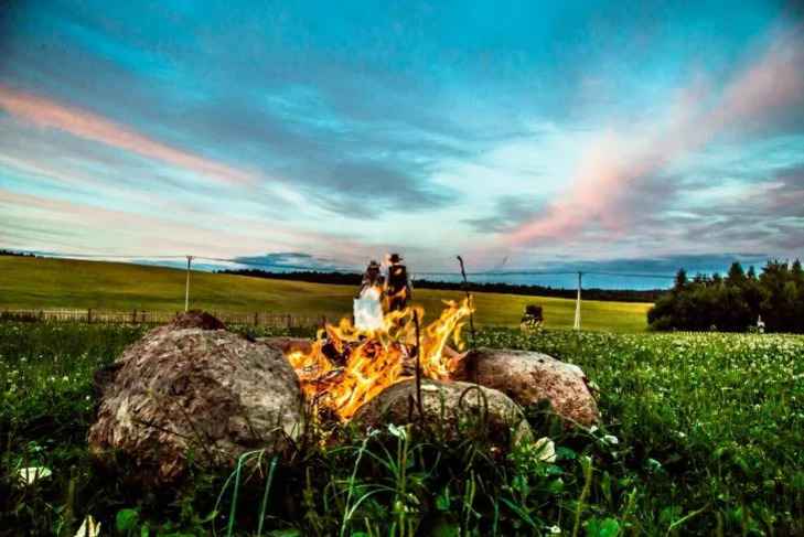 В Горецком районе мужчина погиб при выжигании сухой травы