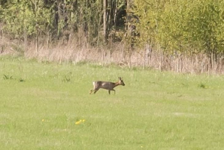 Погода на 30 марта: тепло, но ветер Погода на 30 марта: тепло, но ветер