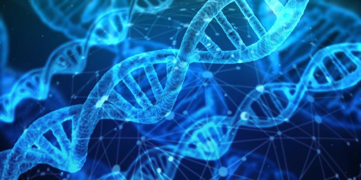 Ученые нашли тонкий код жизни, который гораздо мощнее ДНК