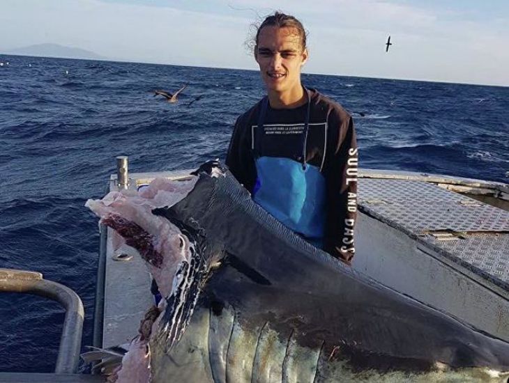 Рыбак выловил 100-килограммовую откушенную голову акулы