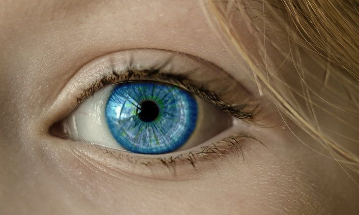 Ученые выяснили, как витамин К влияет на глаза" /> 
