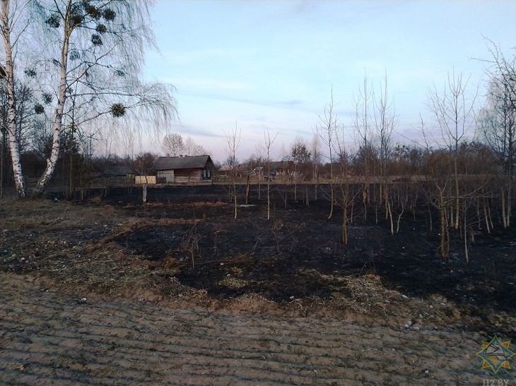 В Калинковичском районе пенсионерка получила ожоги при тушении травы В Калинковичском районе пенсионерка получила ожоги при тушении травы