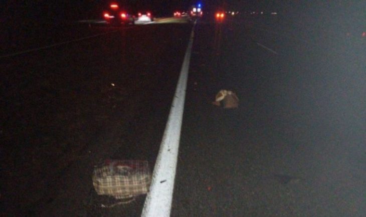 В Березовском районе погиб пешеход: переходил трассу М1