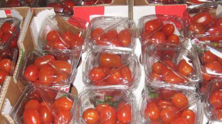 Водитель фуры в пункте пропуска Каменный Лог попытался уничтожить документы на товар Водитель фуры в пункте пропуска Каменный Лог попытался уничтожить документы на товар