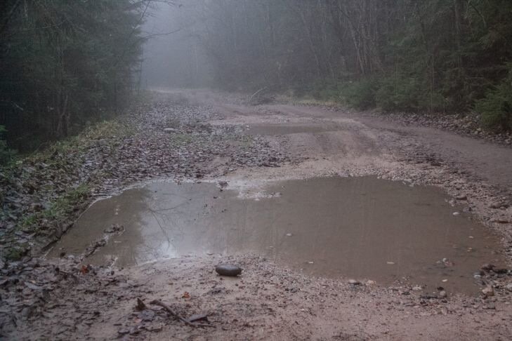 Многодетная мать организовала изнасилование знакомой и заживо похоронила парня