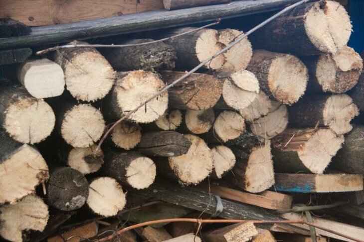 Минчанин отправится в колонию за обман 36 человек и неуплату налогов Минчанин отправится в колонию за обман 36 человек и неуплату налогов