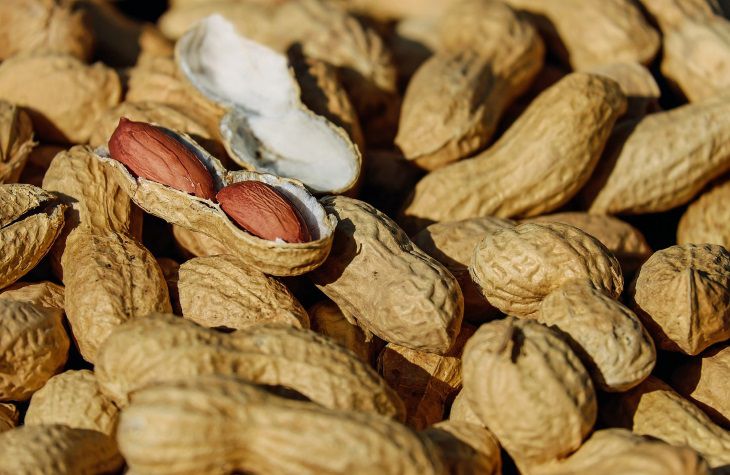 Учёные рассказали о пользе и вреде арахиса