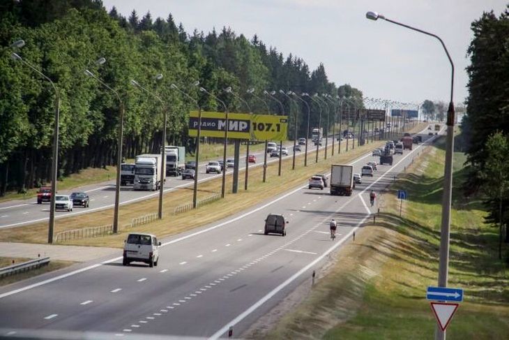 Около 1,7 тыс. деревьев и 31,8 тыс. кустарников высадят вдоль МКАД весной Около 1,7 тыс. деревьев и 31,8 тыс. кустарников высадят вдоль МКАД весной