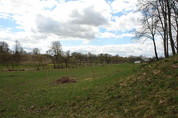 Две аллеи и парк семейных деревьев заложили в трех районах Минска