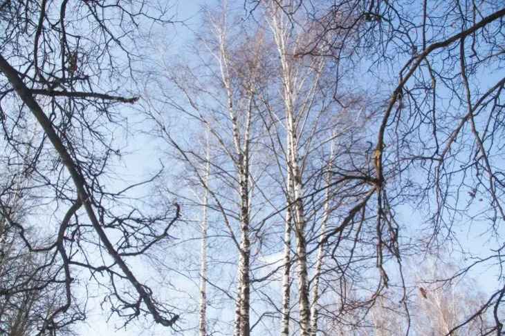 Прогноз погоды на день 8 апреля 2019 года: тепло, небольшой дождь, туманы Прогноз погоды на день 8 апреля 2019 года: тепло, небольшой дождь, туманы