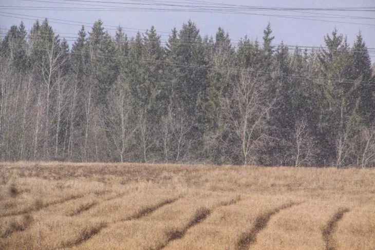 Прогноз погоды на день 8 апреля 2019 года: тепло и дождливо Прогноз погоды на день 8 апреля 2019 года: тепло и дождливо