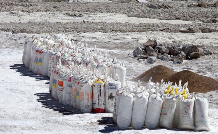 На берег Черного моря выбросило более 130 килограммов кокаина