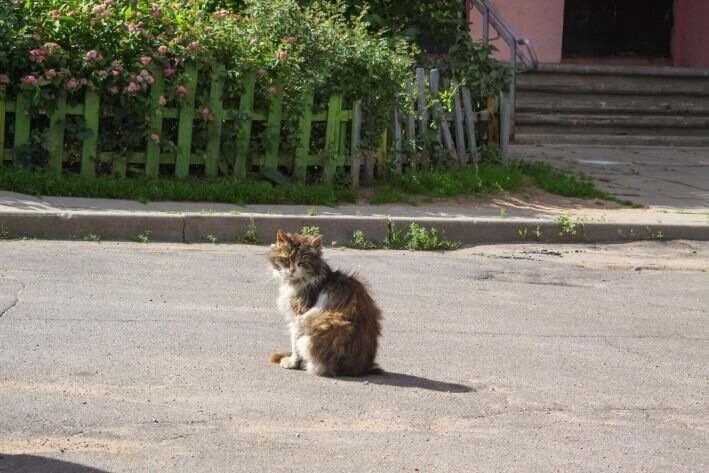 Грядет похолодание. О чем еще предупредили белорусов Грядет похолодание. О чем еще предупредили белорусов