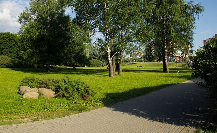В Минске стартовал онлайн-проект по озеленению дворов