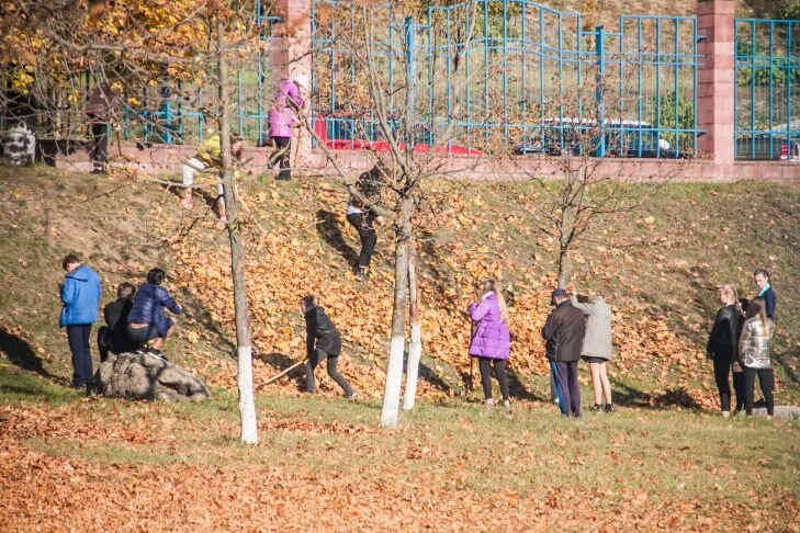 В Беларуси стартует «Неделя леса»: нацелились на 20 млн деревьев В Беларуси стартует «Неделя леса»: нацелились на 20 млн деревьев