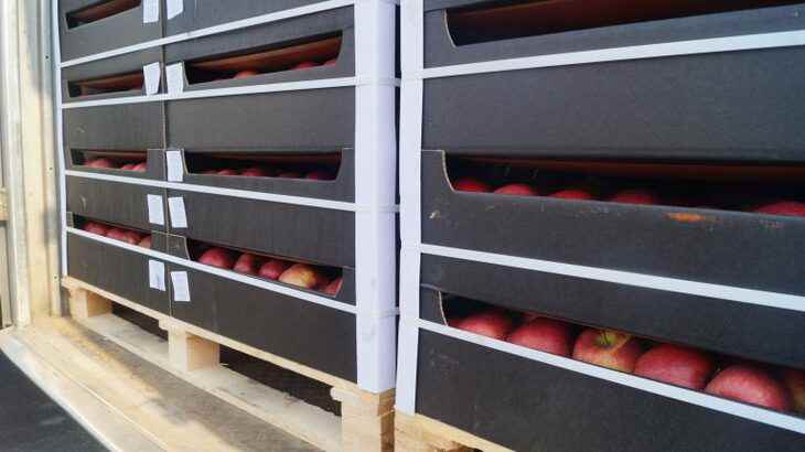 22 тонны яблок «для личного пользования» пытались контрабандой вывезти россияне